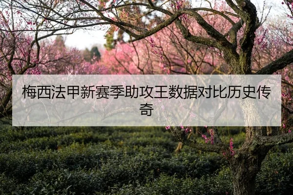 梅西法甲新赛季助攻王数据对比历史传奇 - DBGaming